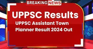 Assistant Town Planner